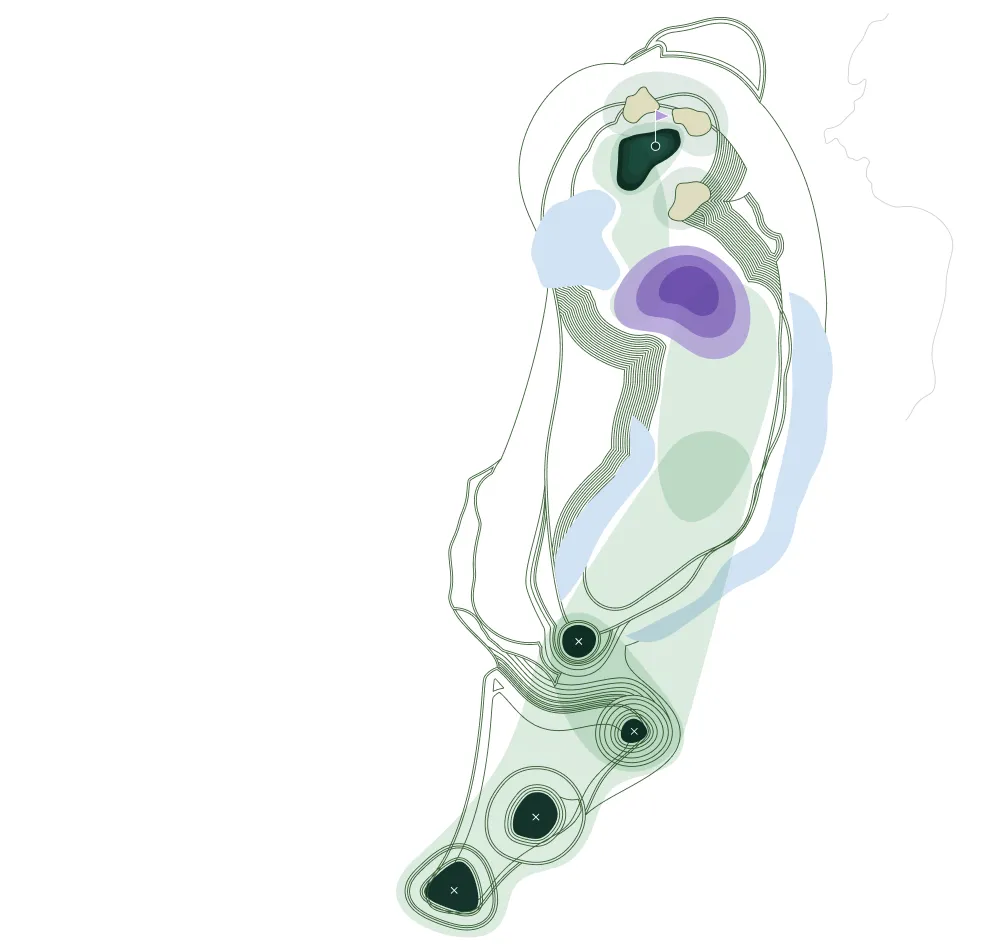 The Riser Graphic
